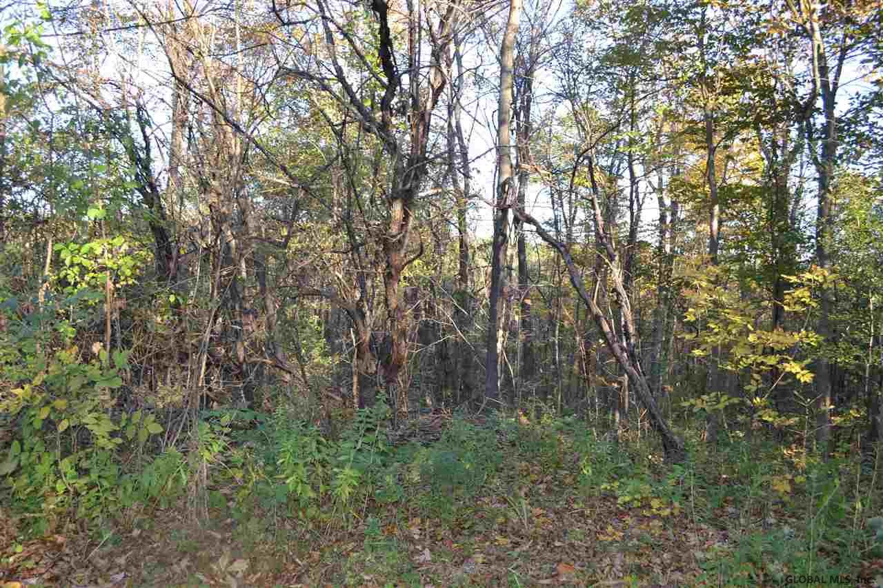 3442 Ridge Road Glenville, NY 12302 - Photo 26 of 49 Photo 28