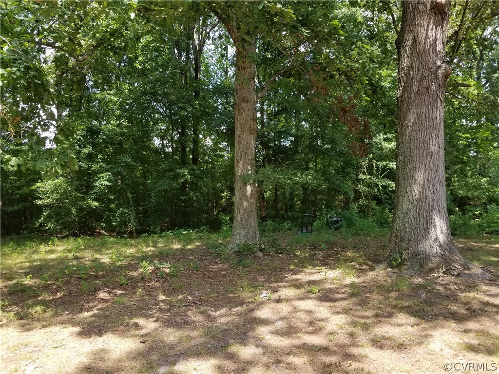 15503 Keelers Mill Road Dewitt, VA 23840 - Photo 4 of 11 Gallery Image 4