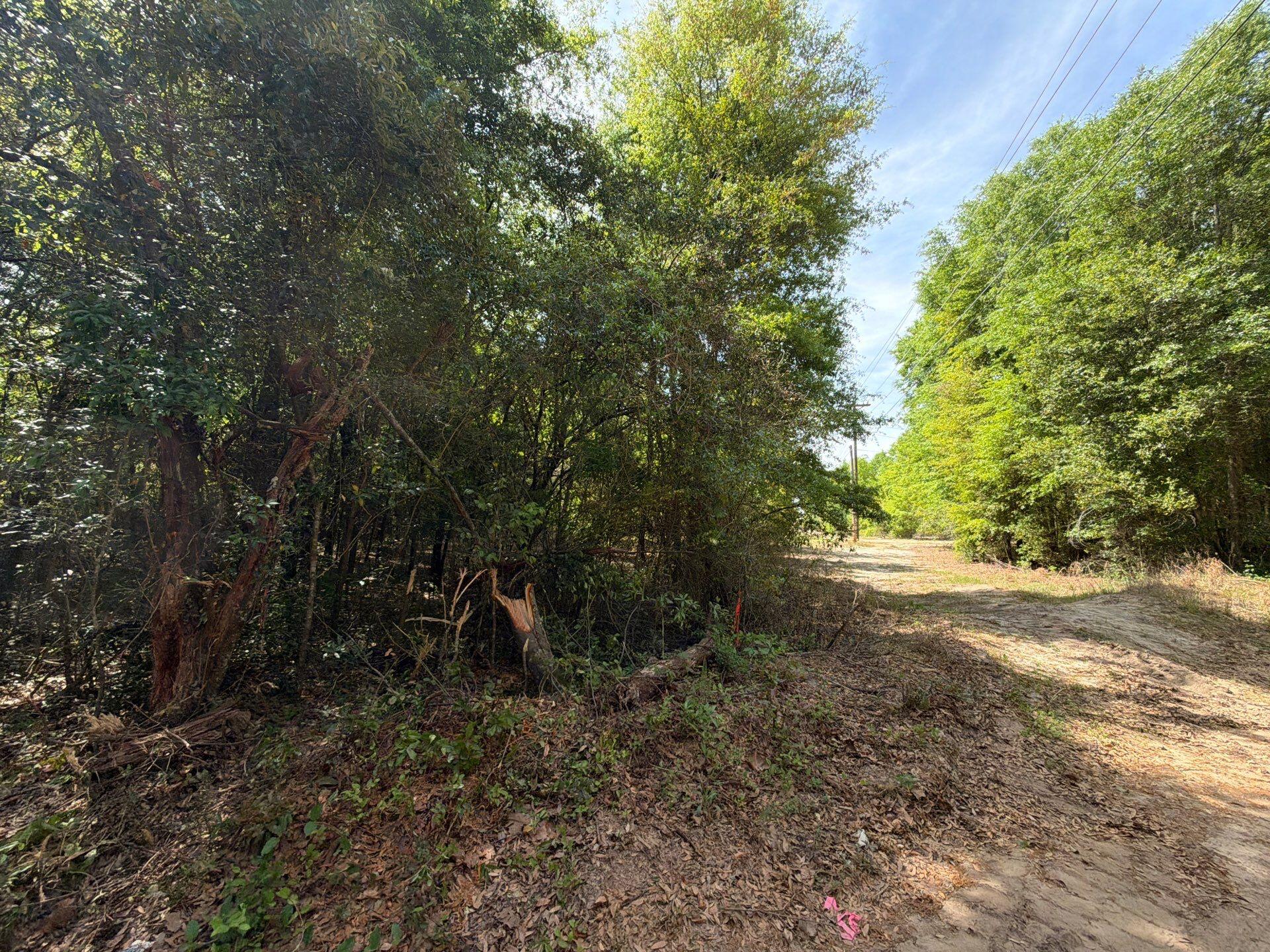 4 Rogers Cemetery Road, Unit RRF 4 Salley, SC 29137 - Photo 4 of 21 Gallery Image 4