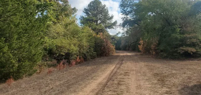 a view of backyard with green space