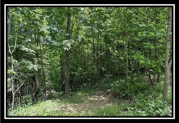85 Weaver Road, Unit TRACT B) Chillicothe, OH 45601 - Photo 19 of 49 image018
