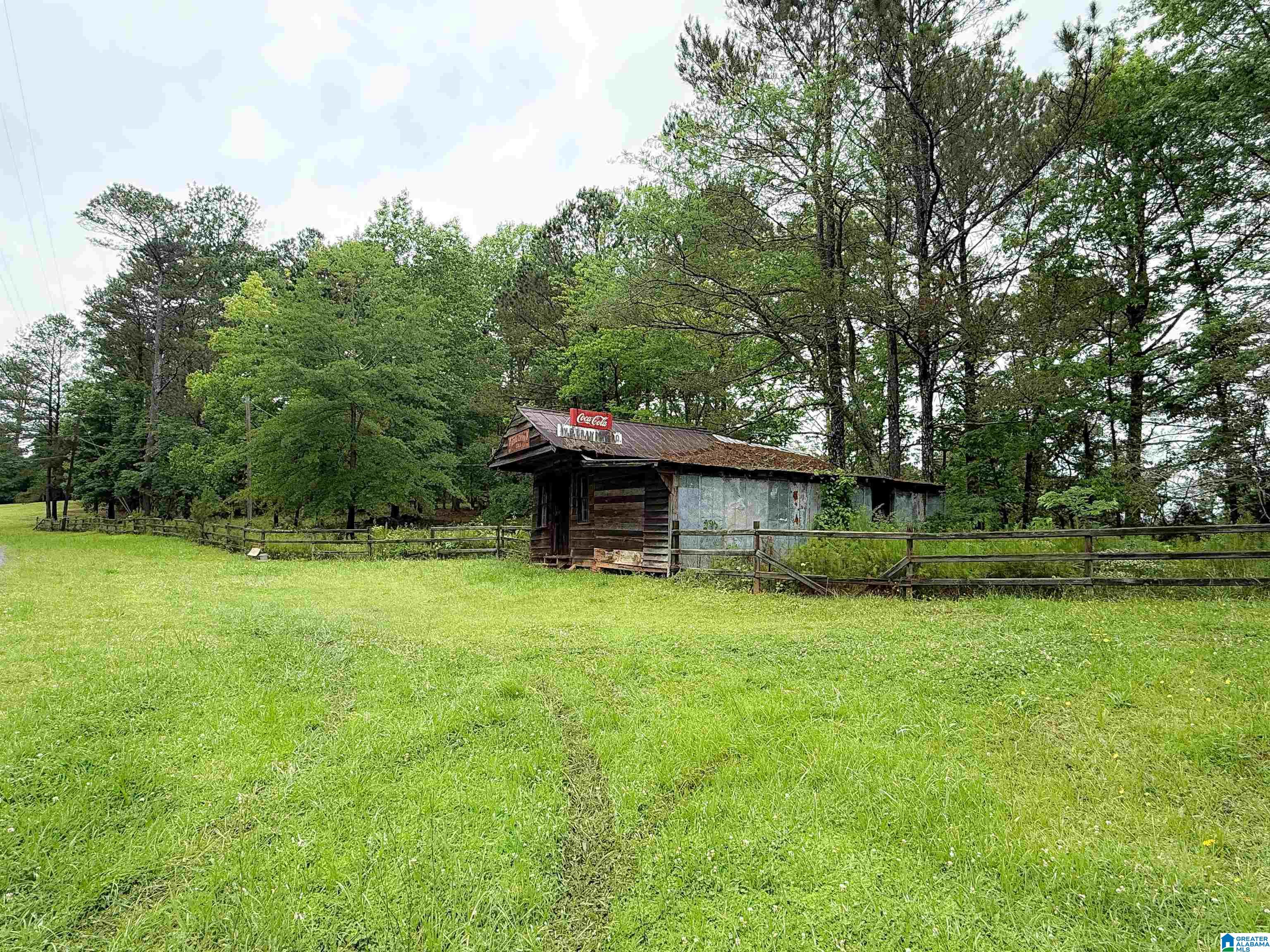 2488 Louina Road Roanoke, AL 36274 - Photo 75 of 97