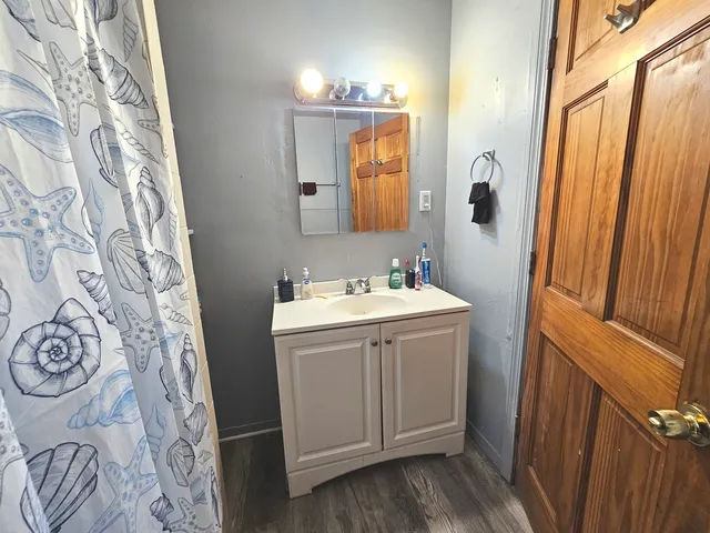 a bathroom with a sink and mirror with shower curtain