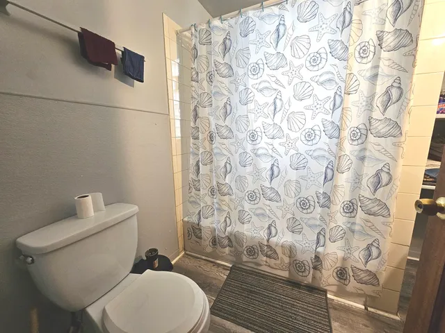 a white toilet sitting next to a shower curtain
