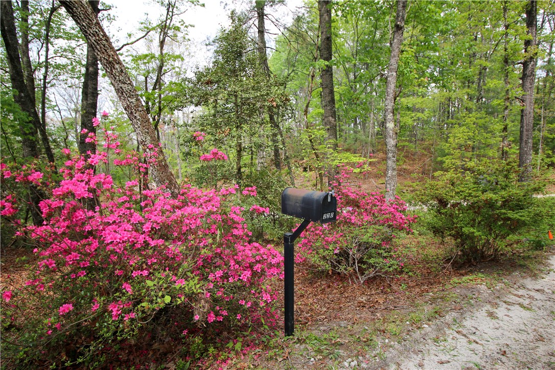 220 Fourness Ridge Road Mountain Rest, SC 29664 - Photo 47 of 50 Gallery Image 47