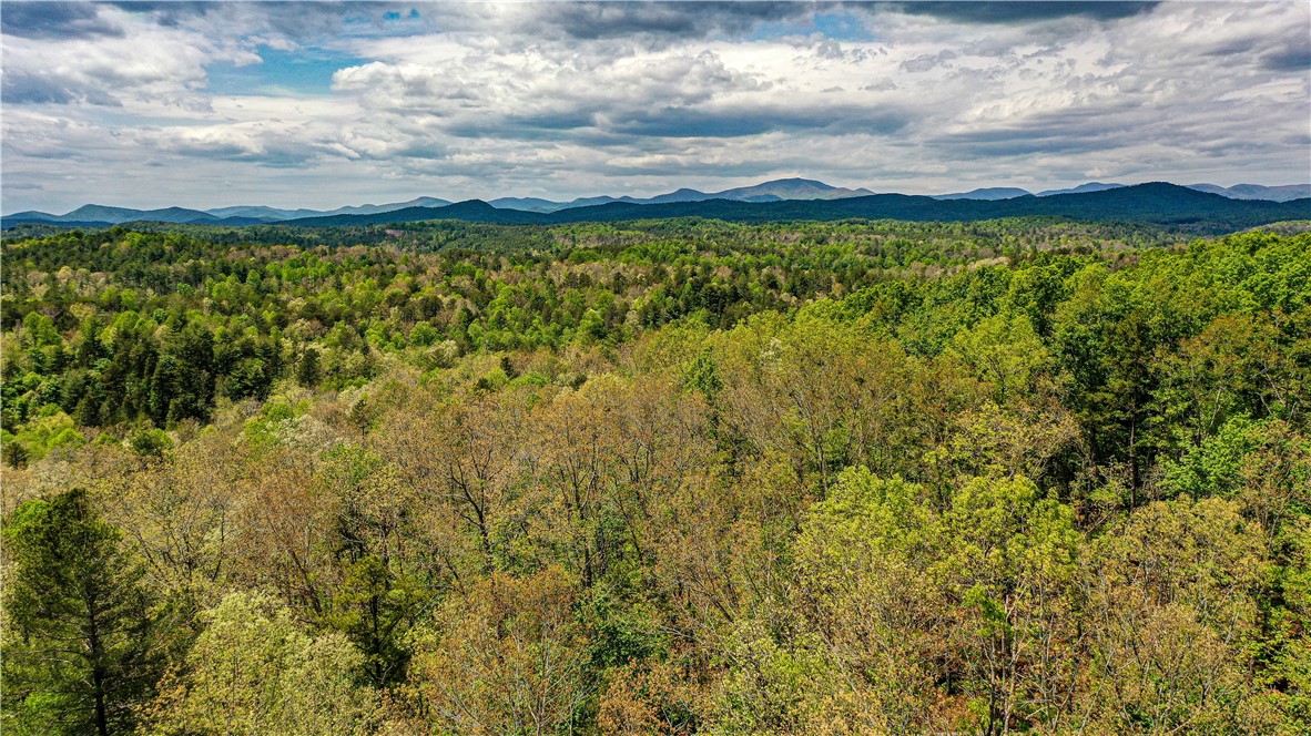 220 Fourness Ridge Road Mountain Rest, SC 29664 - Photo 50 of 50 Gallery Image 50