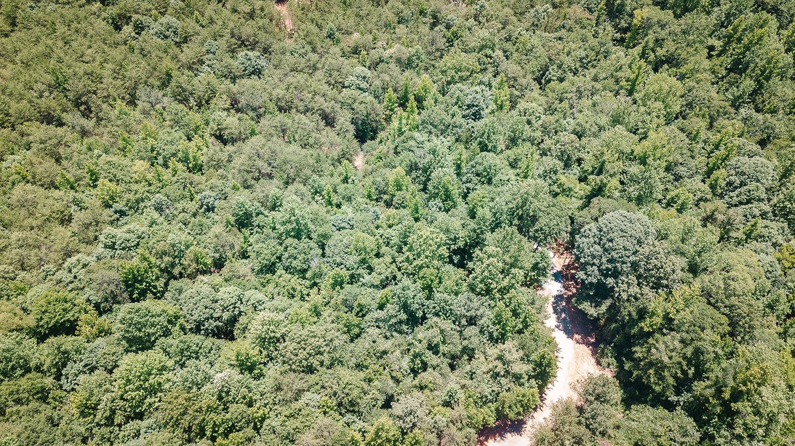 2109 Riddle Road Pauline, SC 29374 - Photo 3 of 11