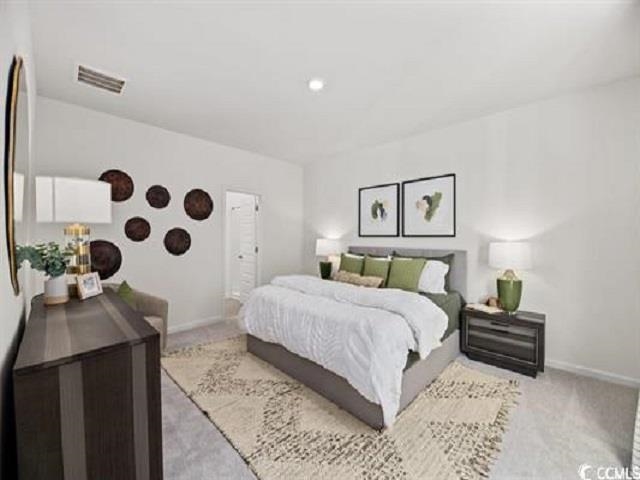 127 Warner Xing Way Loris, SC 29569 - Photo 10 of 12