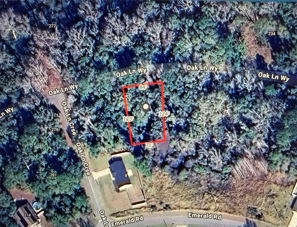 a view of a potted plant in a garden