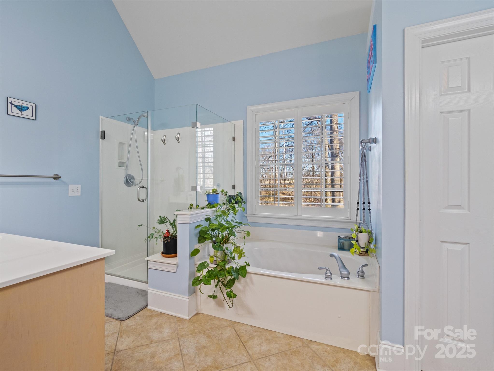 4739 Morris Glen Drive Concord, NC 28027 - Photo 20 of 40 a bath room with a bathtub a potted plant and a shower