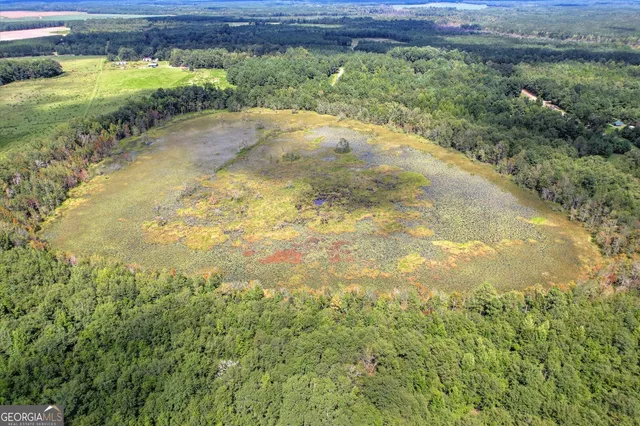 $459,000 | 3280 Eden Church Road, Louisville, GA 30434