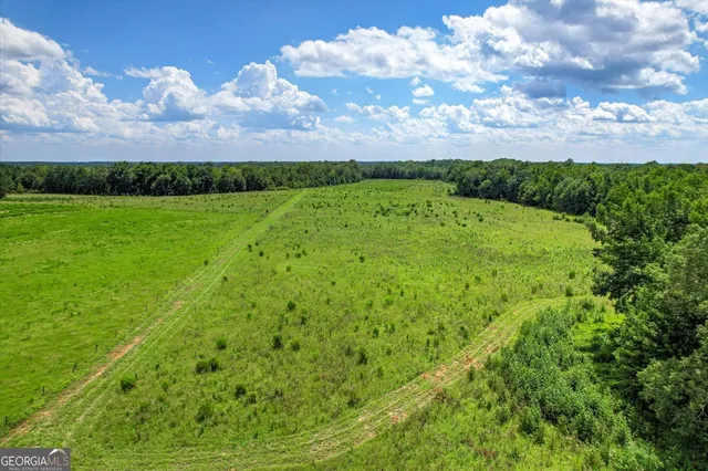 $459,000 | 3280 Eden Church Road, Louisville, GA 30434