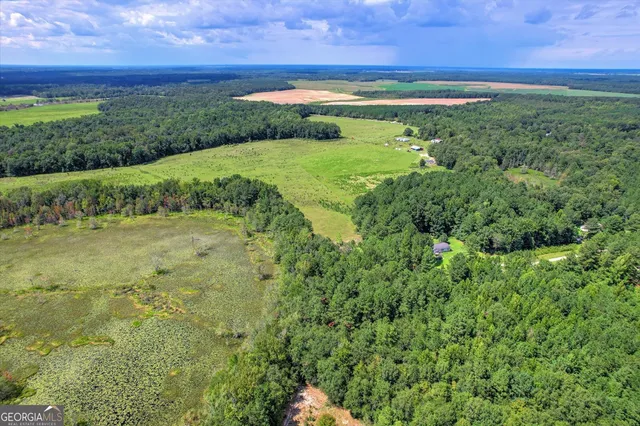 $459,000 | 3280 Eden Church Road, Louisville, GA 30434