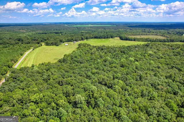 $459,000 | 3280 Eden Church Road, Louisville, GA 30434