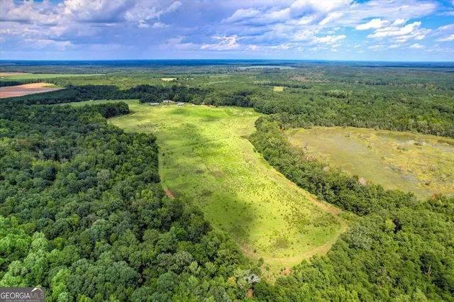 $459,000 | 3280 Eden Church Road, Louisville, GA 30434