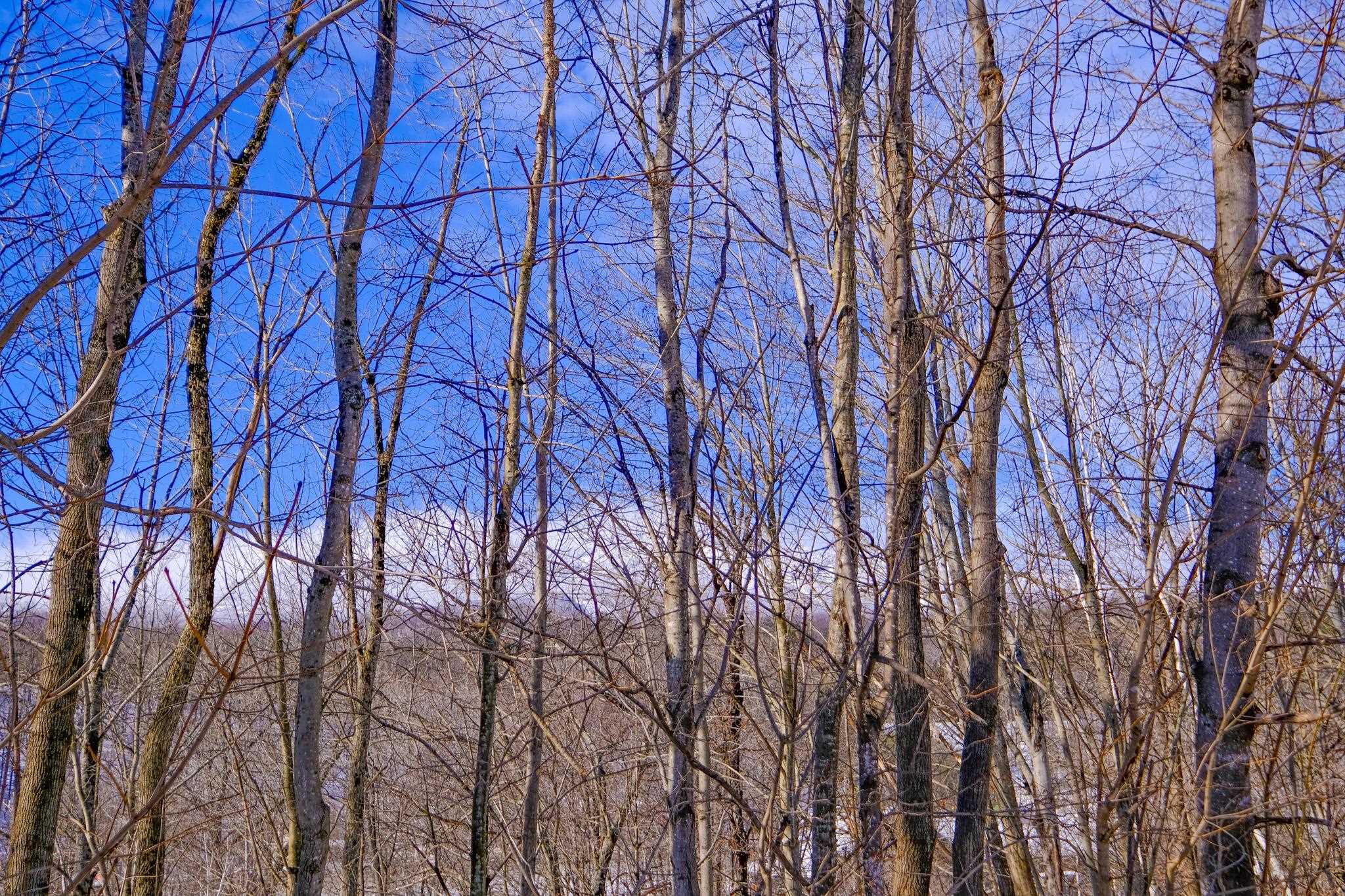 0 Prospect Street, Unit 1 Ludlow, VT 05149 - Photo 21 of 26 Gallery Image 21