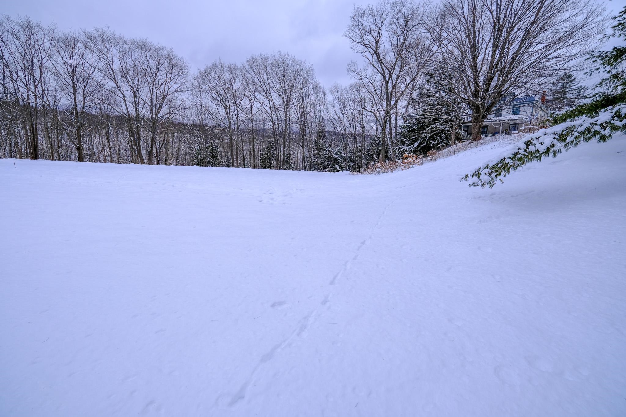 0 Prospect Street, Unit 1 Ludlow, VT 05149 - Photo 8 of 26 Gallery Image 8