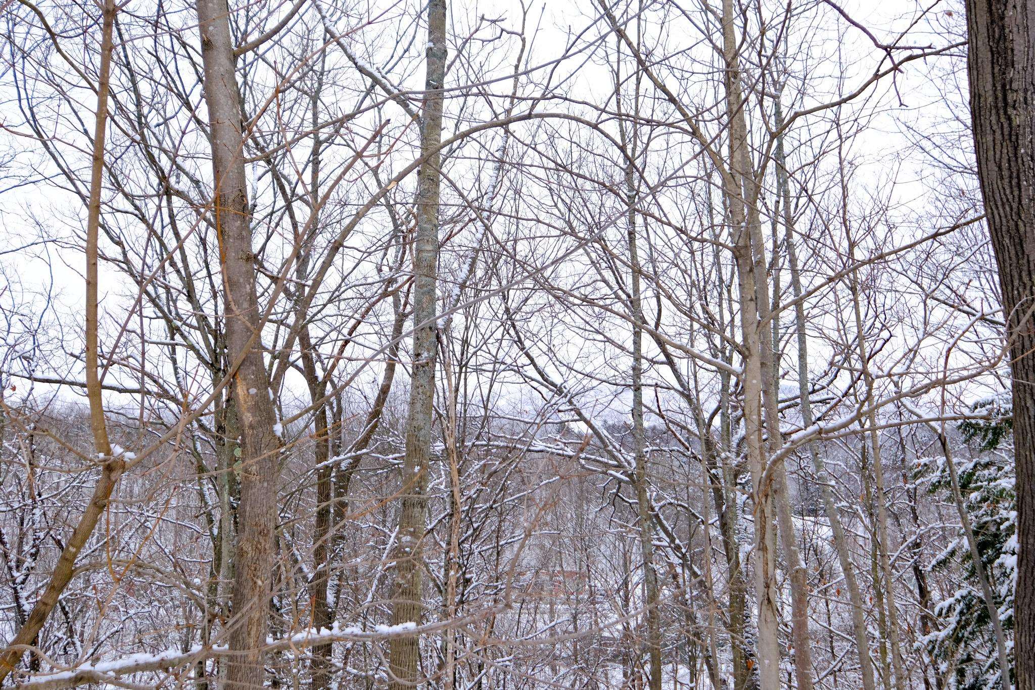 0 Prospect Street, Unit 1 Ludlow, VT 05149 - Photo 9 of 26 Gallery Image 9