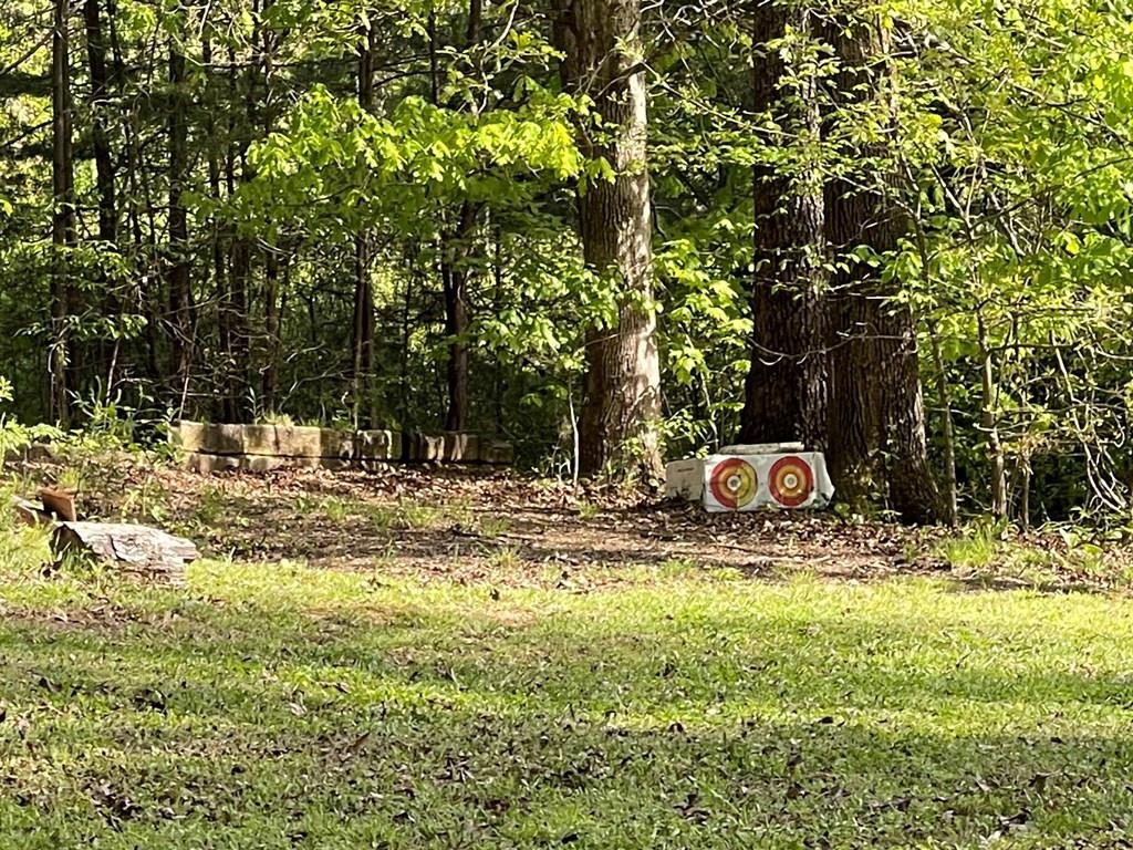 302 Wetmore Springs Road Delano, TN 37325 - Photo 17 of 29 Gallery Image 17