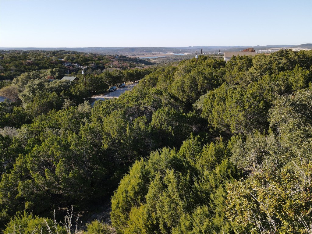 6408 Lohman Ford Road Lago Vista, TX 78645 - Photo 1 of 5 a view of a city with lush green forest