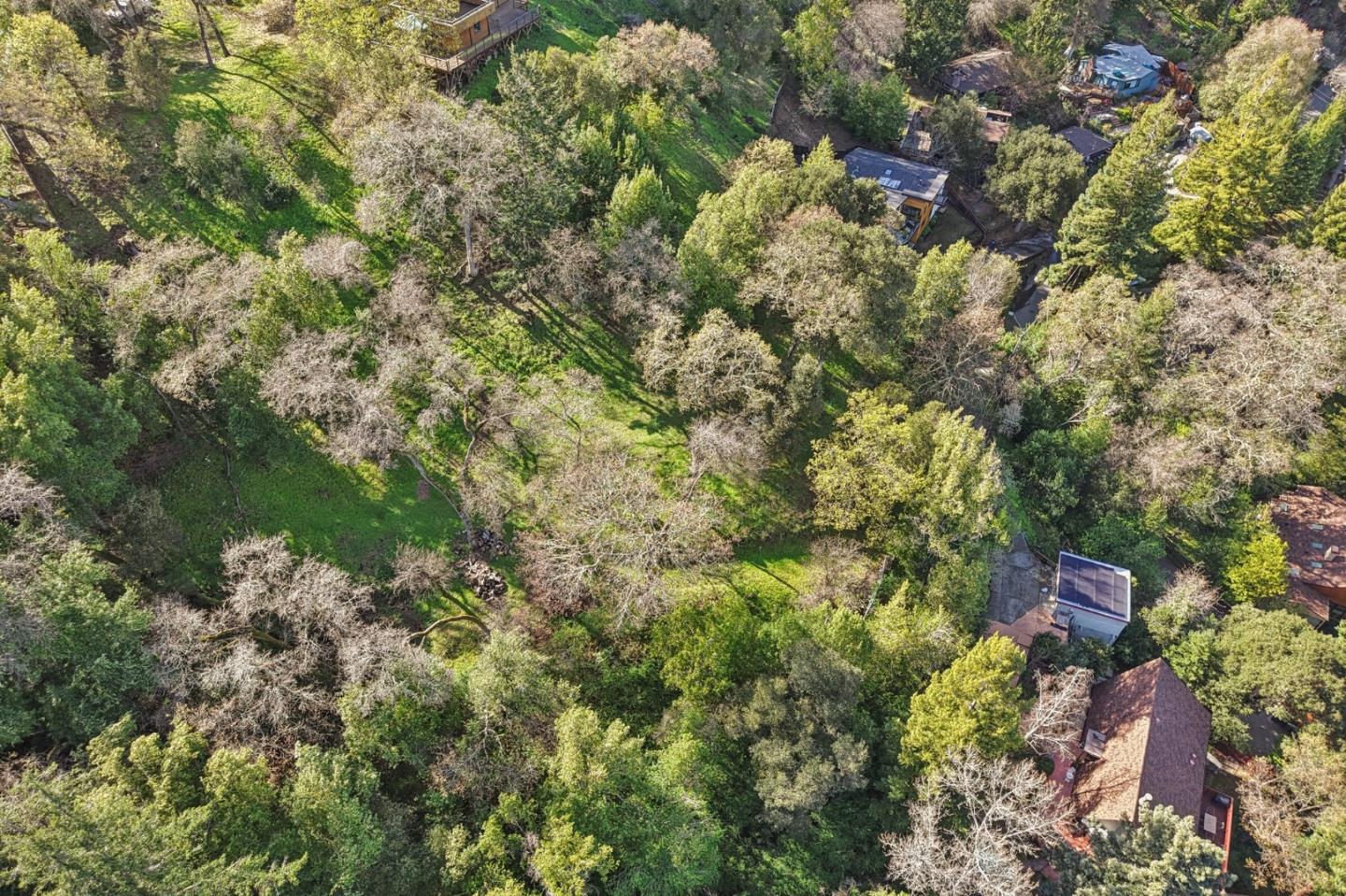 145 Foxwood Road Portola Valley, CA 94028 - Photo 3 of 9 a view of a house with a tree