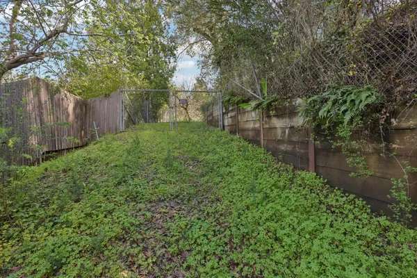 a view of a yard with large trees and wooden fence