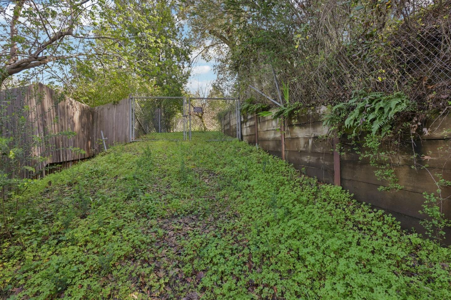 145 Foxwood Road Portola Valley, CA 94028 - Photo 4 of 9 a view of a yard with large trees and wooden fence