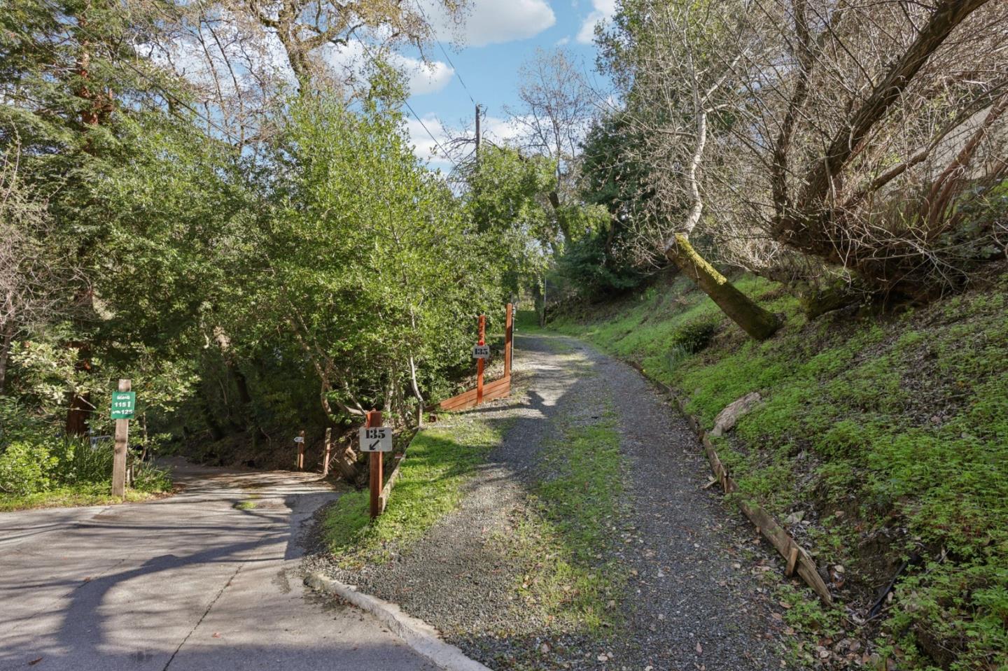 145 Foxwood Road Portola Valley, CA 94028 - Photo 5 of 9 a view of a park with large trees