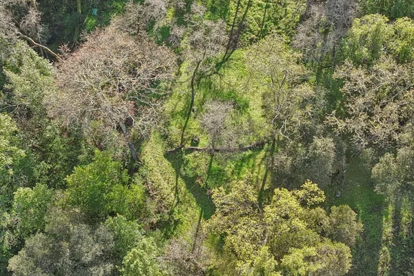 a aerial view of a houses with yard
