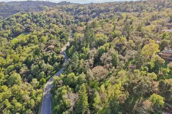 an aerial view of forest