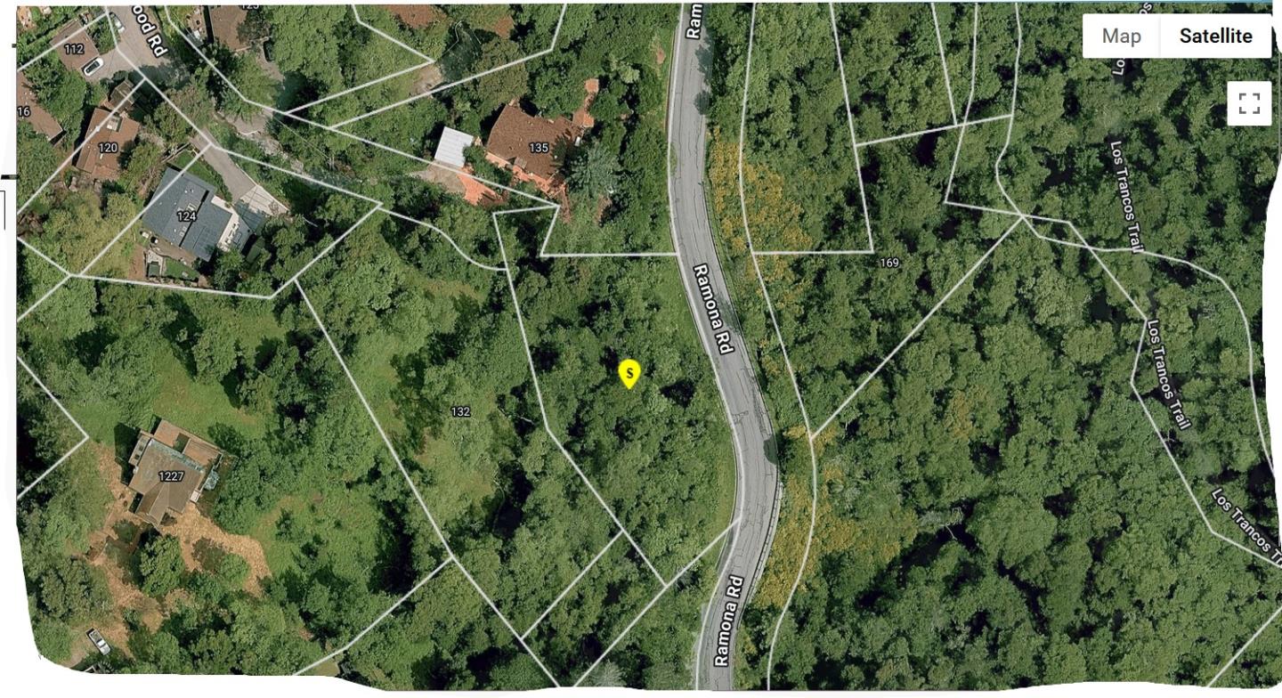 145 Foxwood Road Portola Valley, CA 94028 - Photo 9 of 9 a view of a plant in a garden