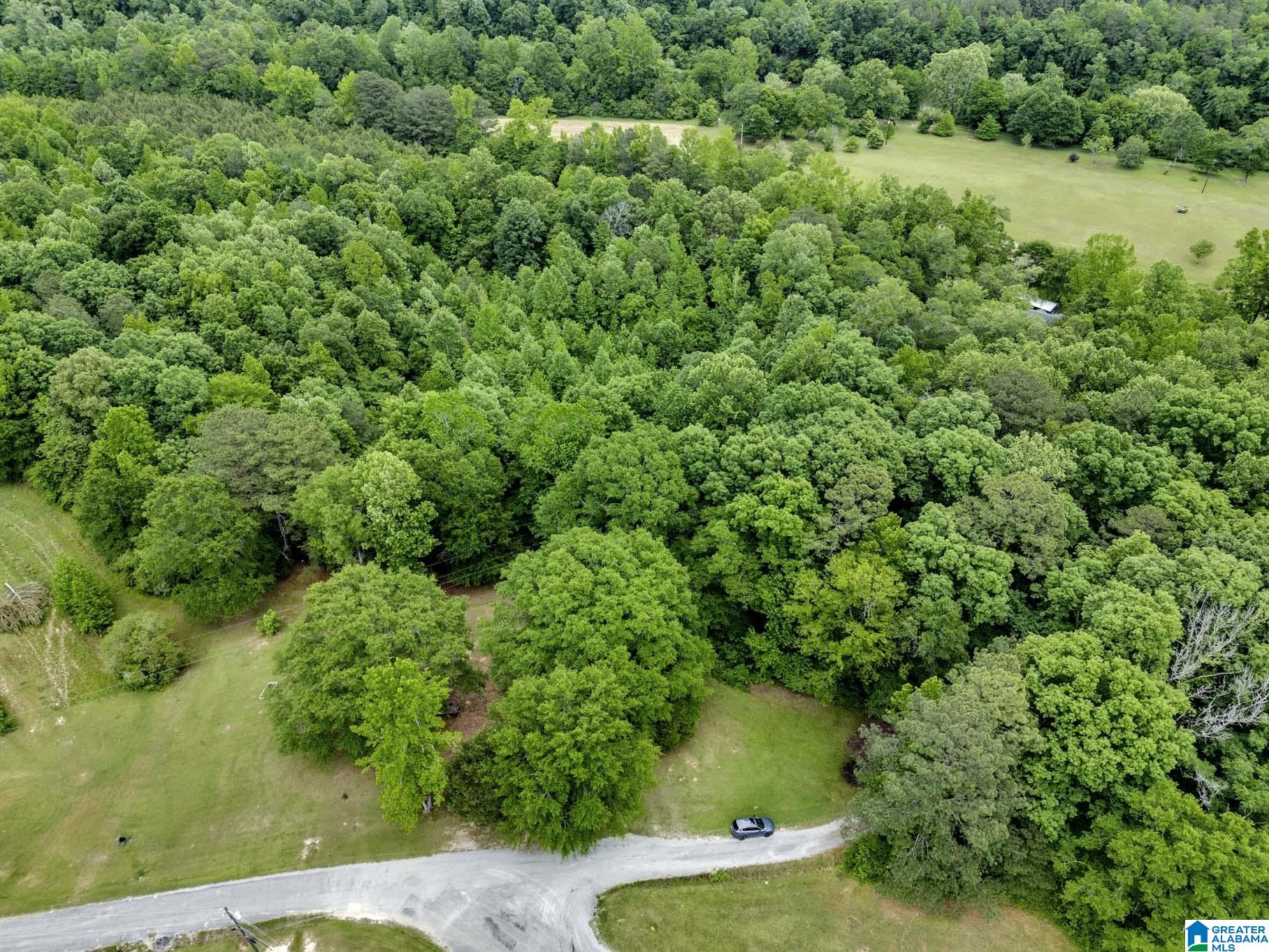 292 Elbert Gallimore Road Hayden, AL 35079 - Photo 52 of 57 Gallery Image 52