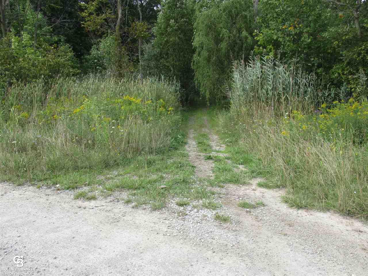 0 Fox Ridge Lane Allenton, MI 48002 - Photo 3 of 12