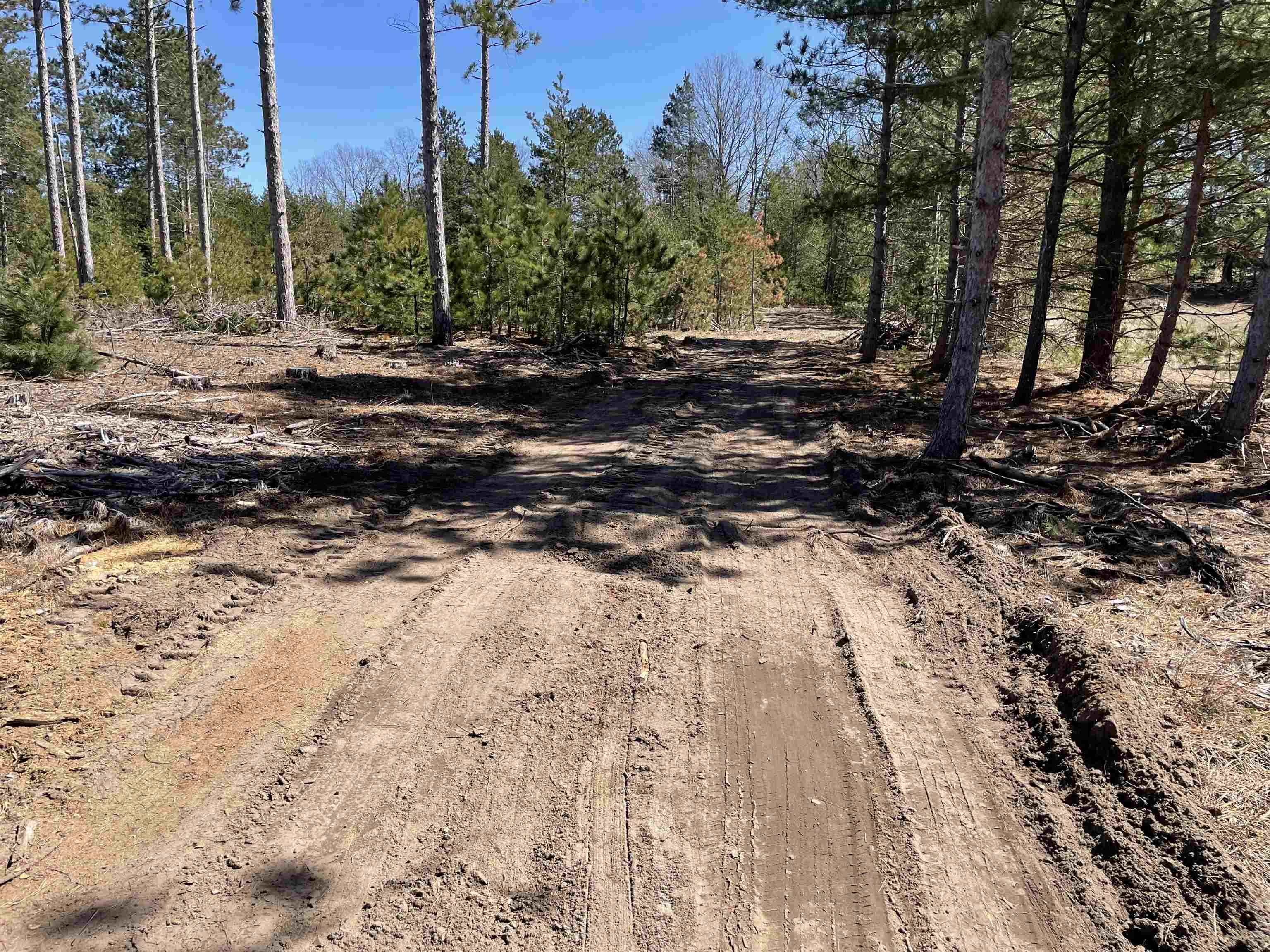 10-acres Niemi Road Kaleva, MI 49645 - Photo 4 of 24