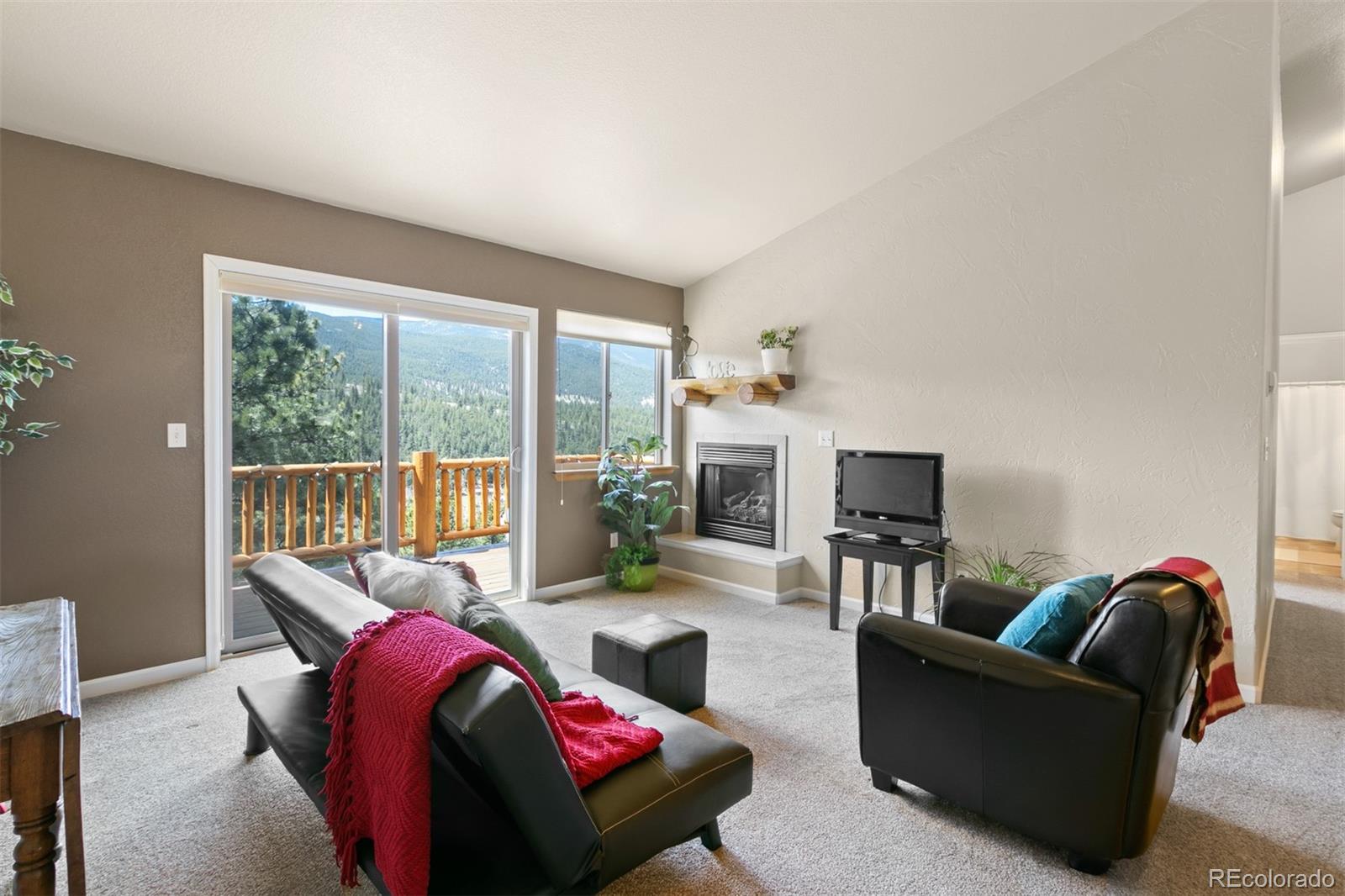 305 Virginia Road, Unit E Bailey, CO 80421 - Photo 11 of 31 Gallery Image 11