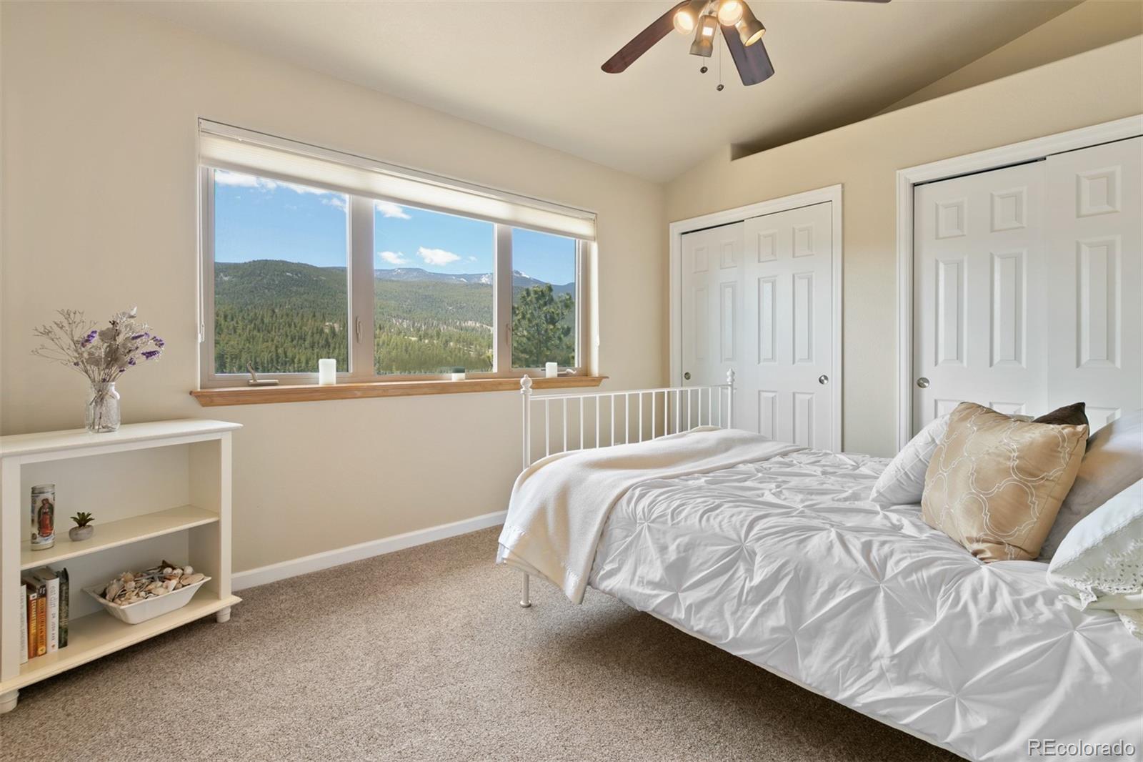 305 Virginia Road, Unit E Bailey, CO 80421 - Photo 19 of 31 Gallery Image 19