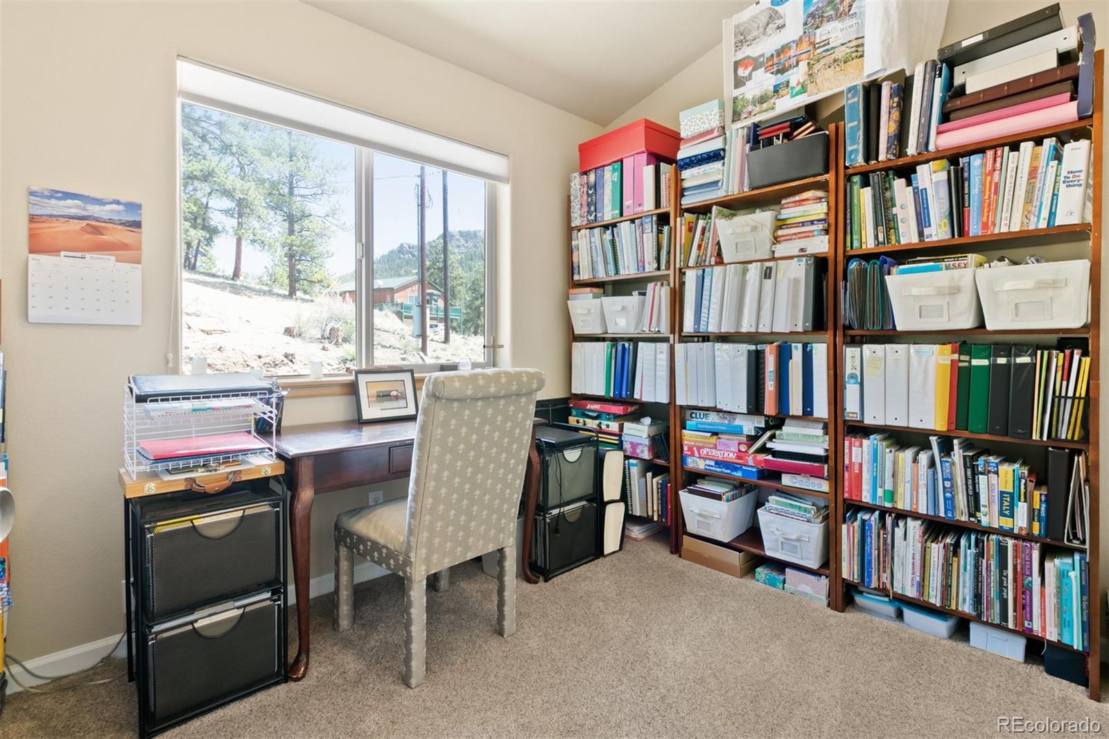 305 Virginia Road, Unit E Bailey, CO 80421 - Photo 23 of 31 Gallery Image 23