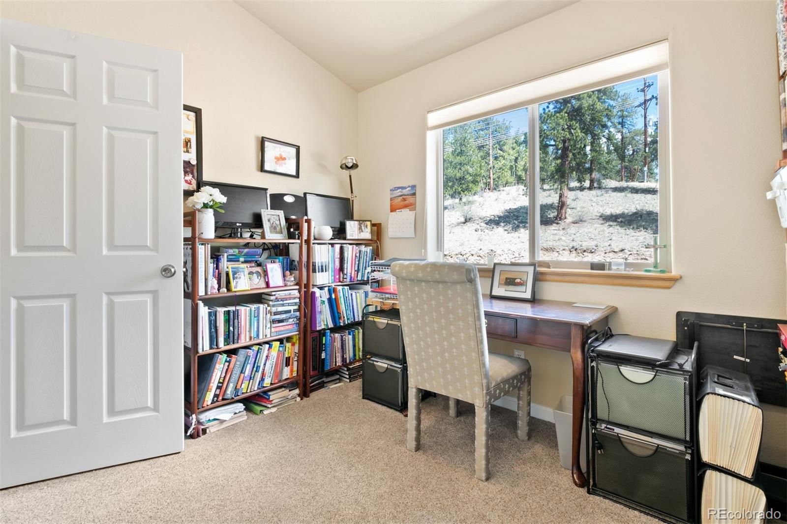 305 Virginia Road, Unit E Bailey, CO 80421 - Photo 26 of 31 Gallery Image 26