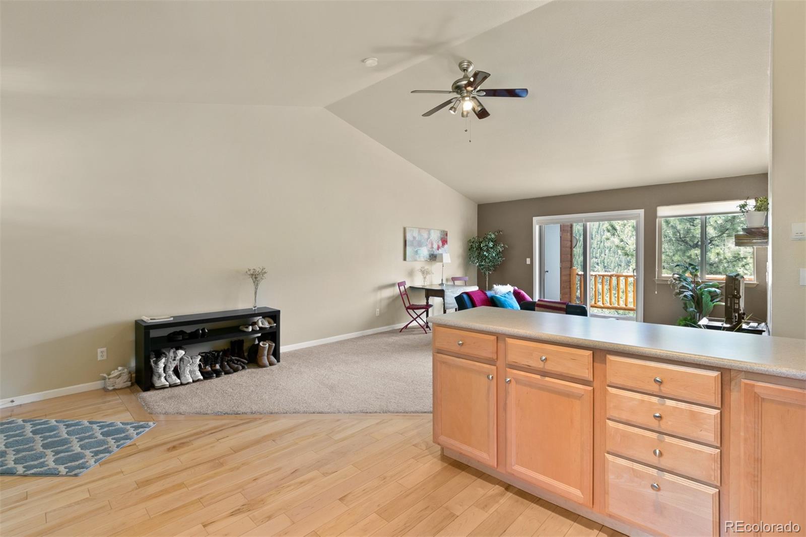 305 Virginia Road, Unit E Bailey, CO 80421 - Photo 8 of 31 Gallery Image 8