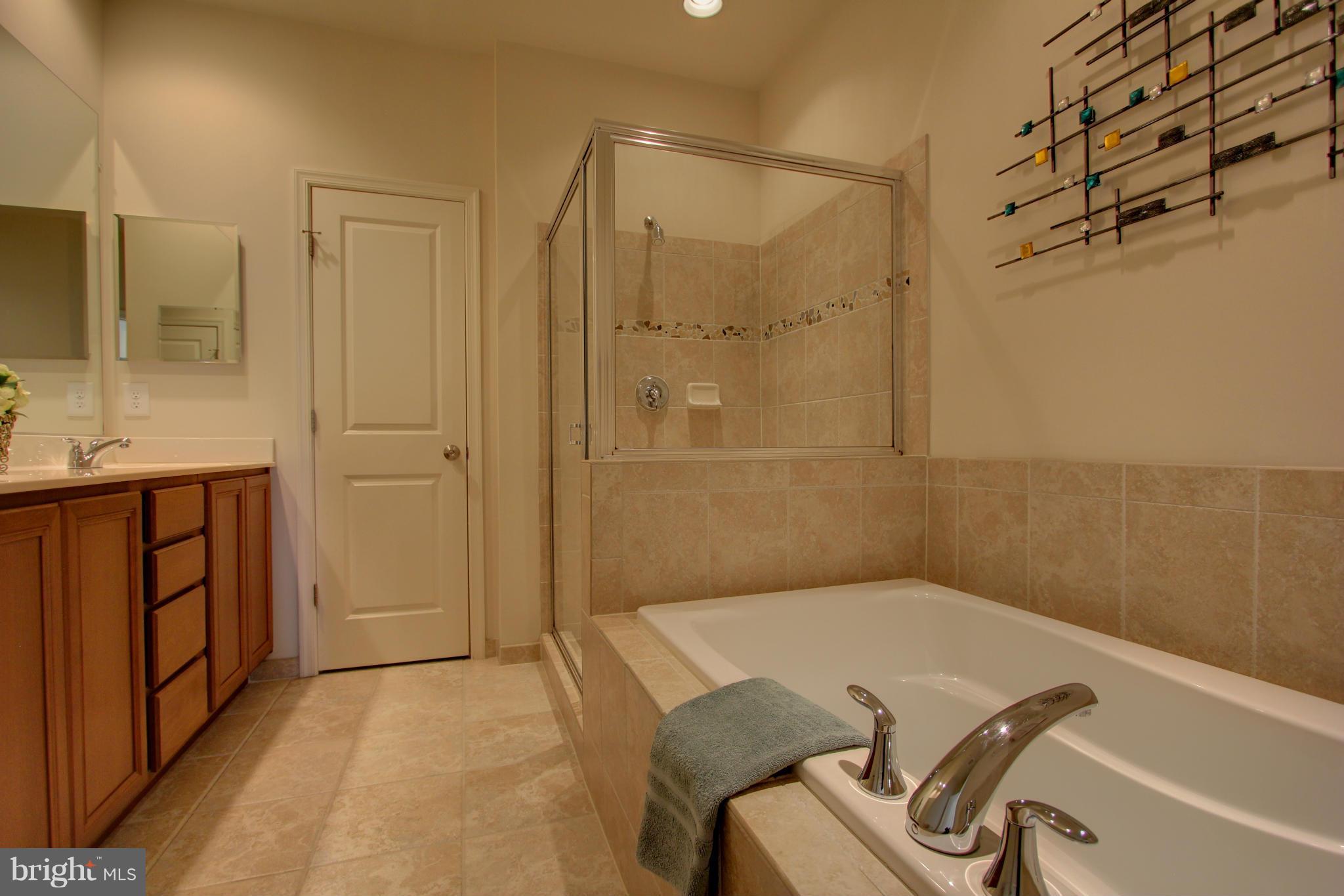 9817 Garden Ranges Laurel, MD 20723 - Photo 15 of 30 Bath (Master)