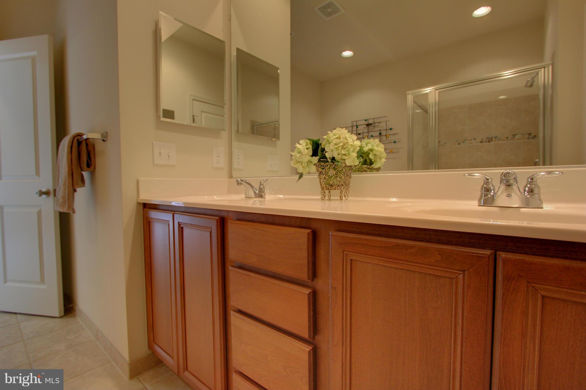 9817 Garden Ranges Laurel, MD 20723 - Photo 16 of 30 Bath (Master)