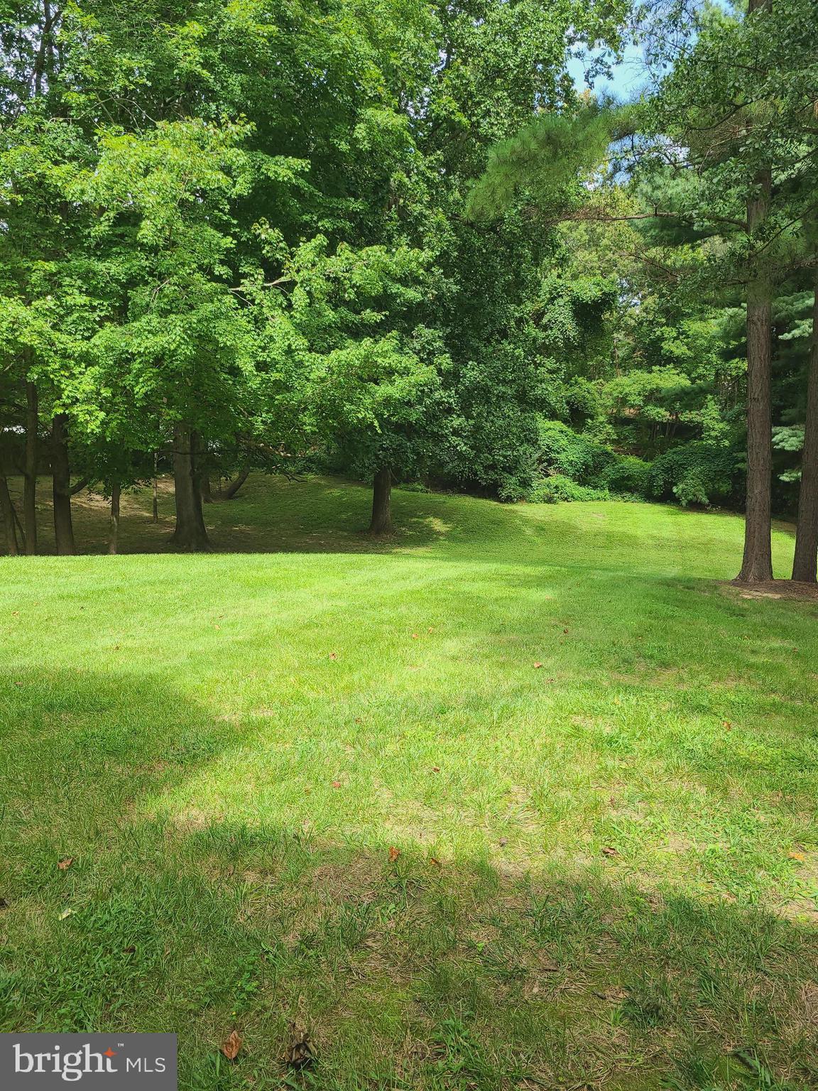 5802 Royal Ridge Drive Springfield, VA 22152 - Photo 23 of 25