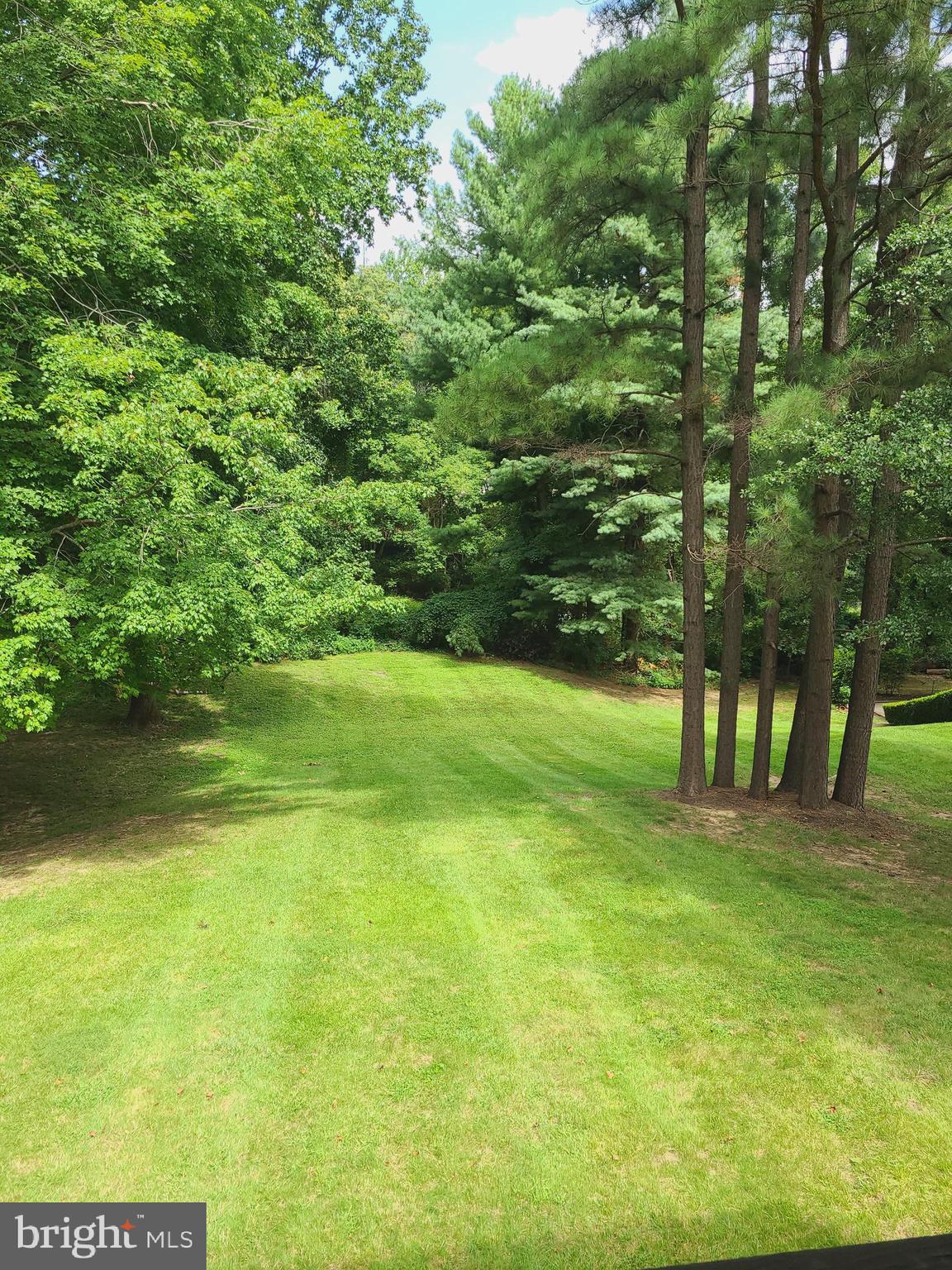 5802 Royal Ridge Drive Springfield, VA 22152 - Photo 25 of 25