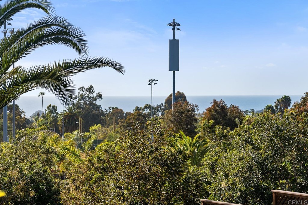 1754 Crest Drive Encinitas, CA 92024 - Photo 29 of 43 a view of a lake with a palm tree in the background
