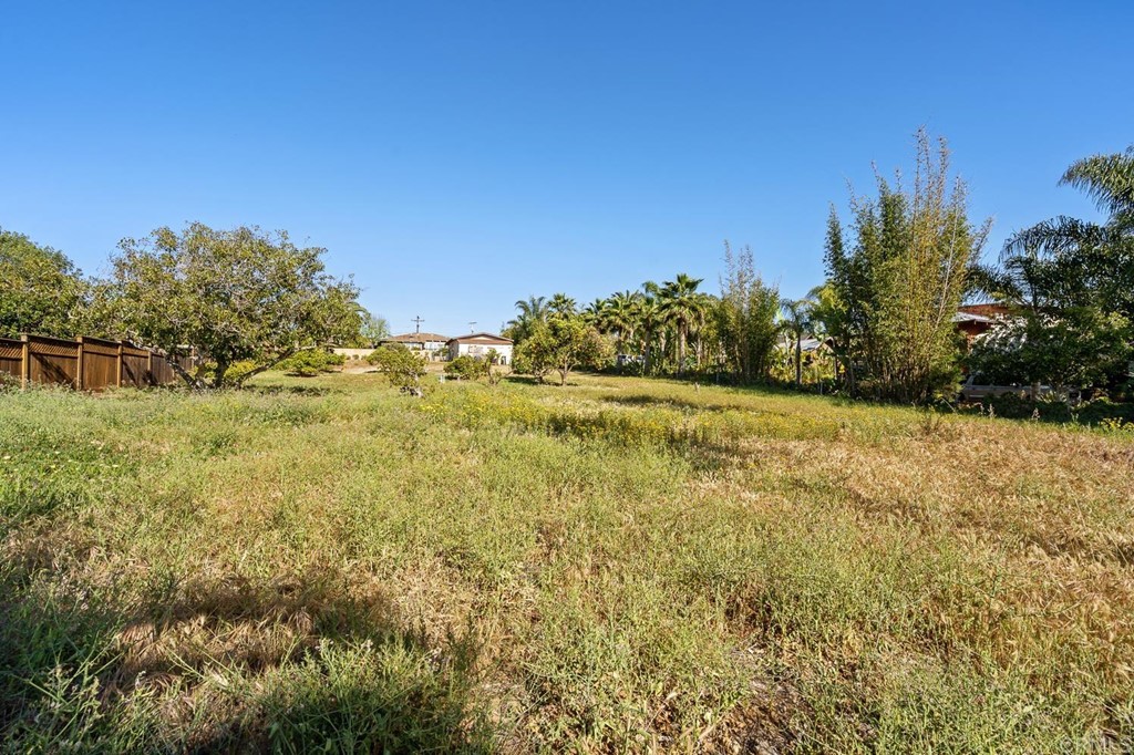 1754 Crest Drive Encinitas, CA 92024 - Photo 33 of 43 a view of a yard with an trees