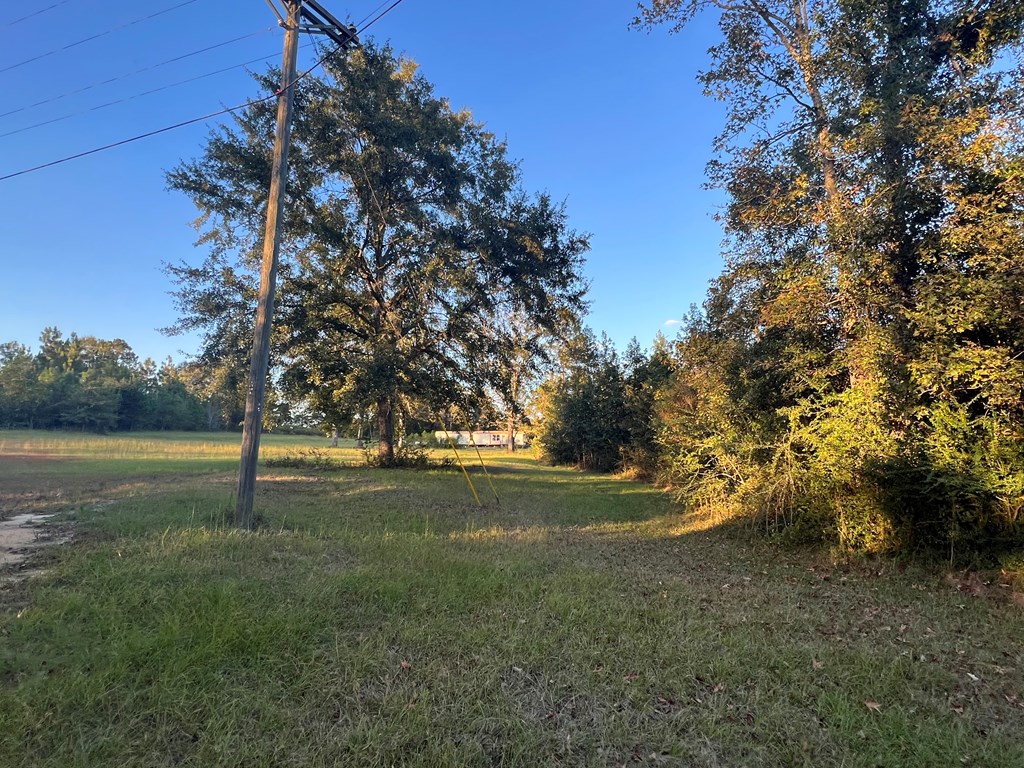 4151 Cotton Box Road Slocomb, AL 36375 - Photo 10 of 17