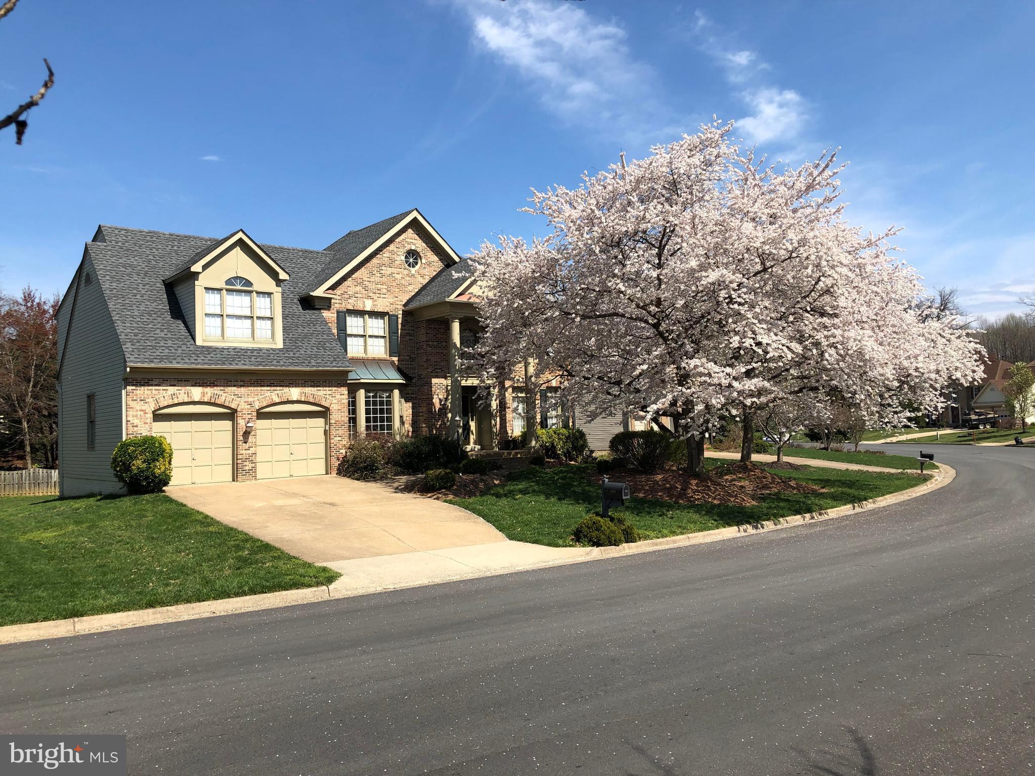 5466 Ashleigh Road Fairfax, VA 22030 - Photo 1 of 56 Spring Picture in Season Cherry Blossom!!