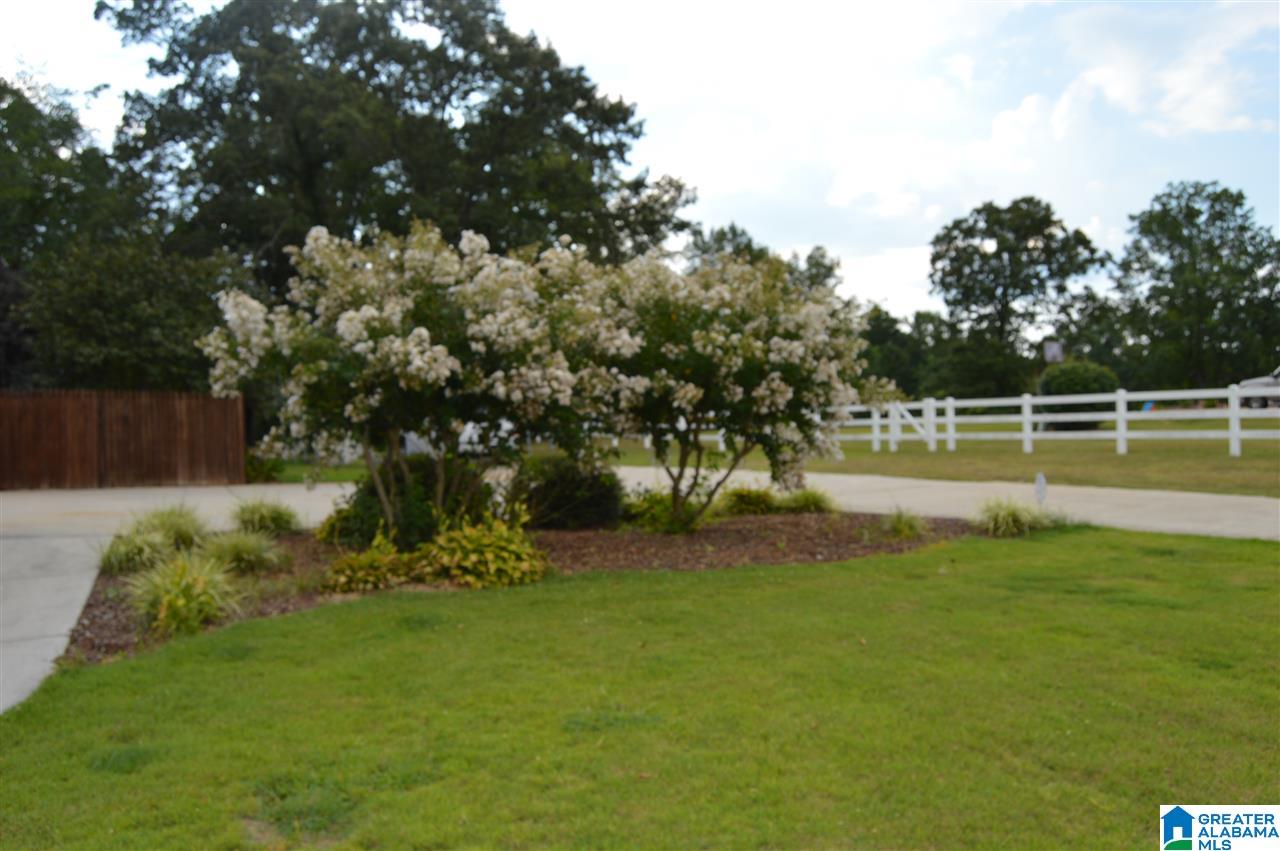 2727 Corner Road Warrior, AL 35180 - Photo 44 of 48 Gallery Image 44