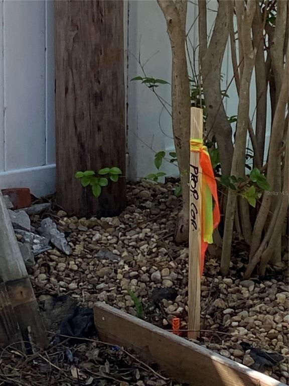 121 13th Avenue Indian Rocks Beach, FL 33785 - Photo 3 of 3 a view of a garden