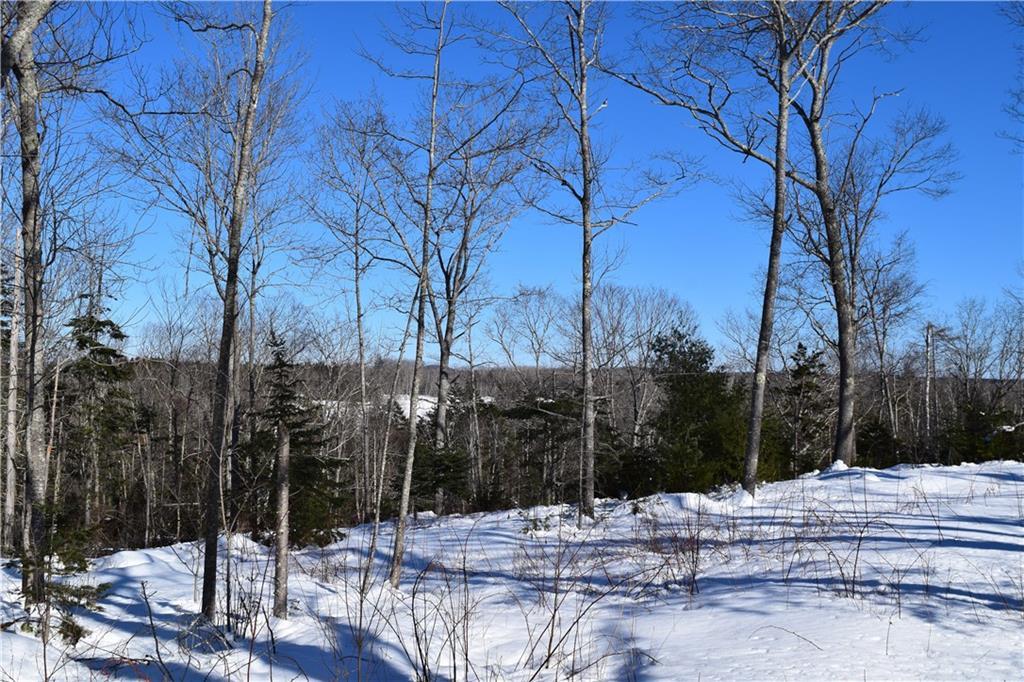 0 Dunbar Road Penobscot, ME 04476 - Photo 6 of 8 Photo